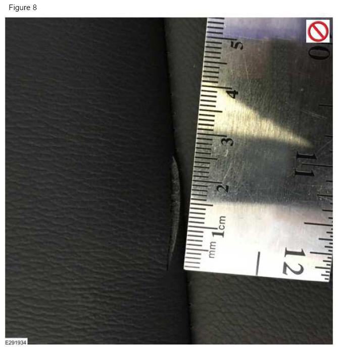G12127016