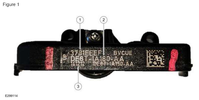 G12259210