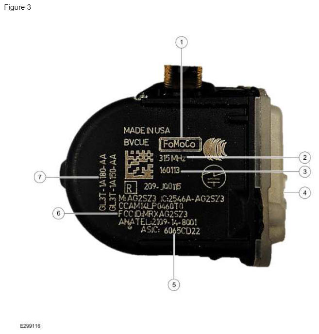 G12259212