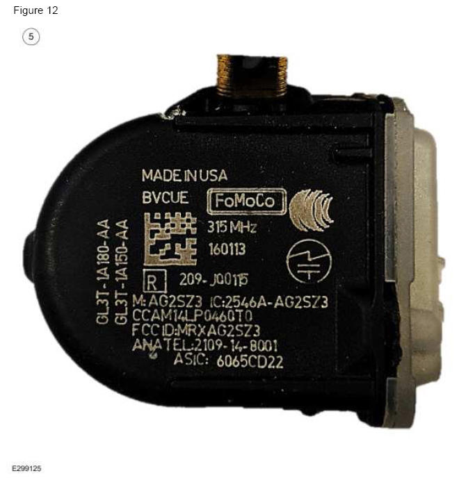 G12259221