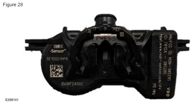 G12259236