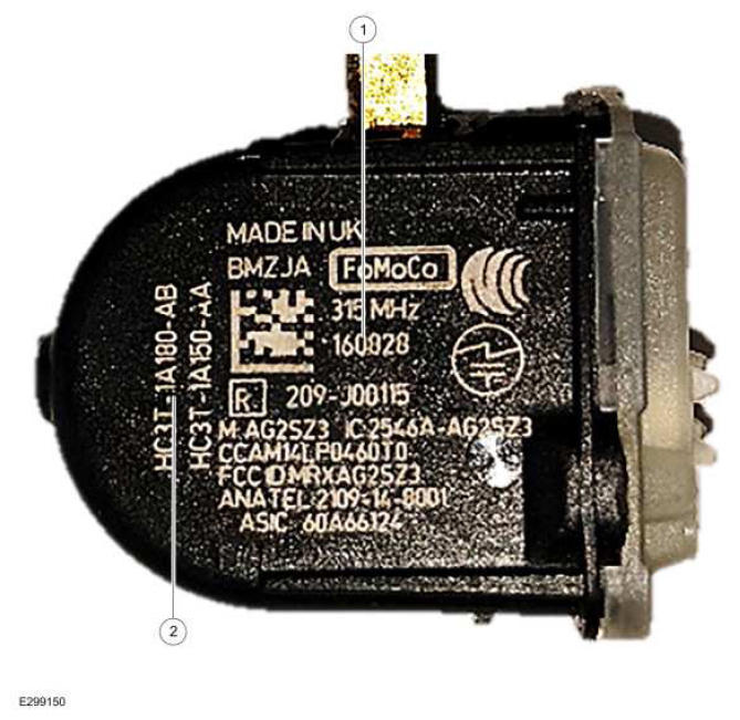 G12259245
