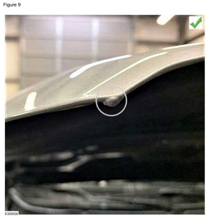 G15444809