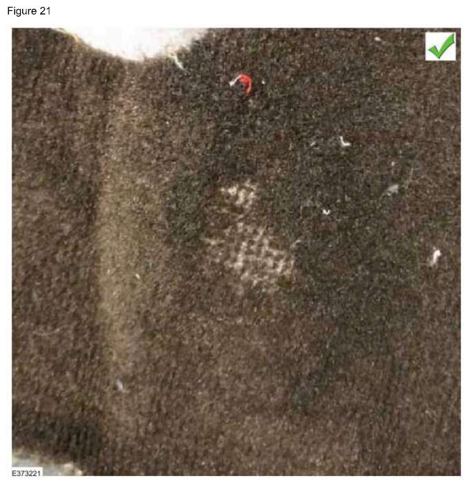 G16866330