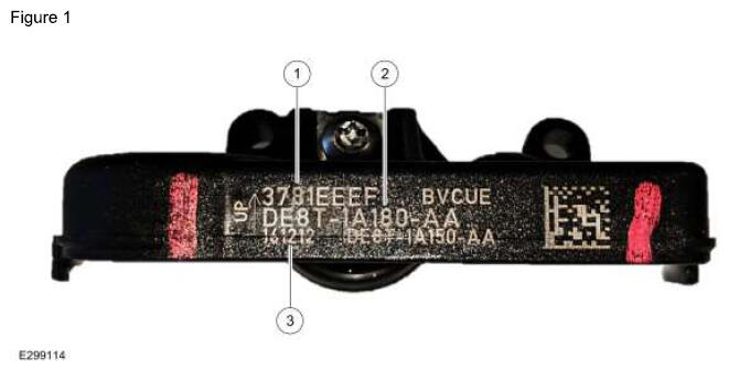G16936516