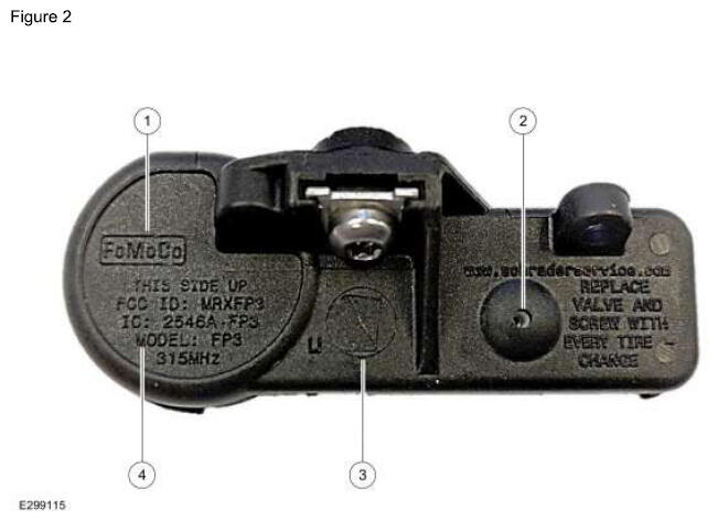 G16936517