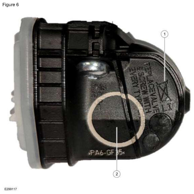 G16936521