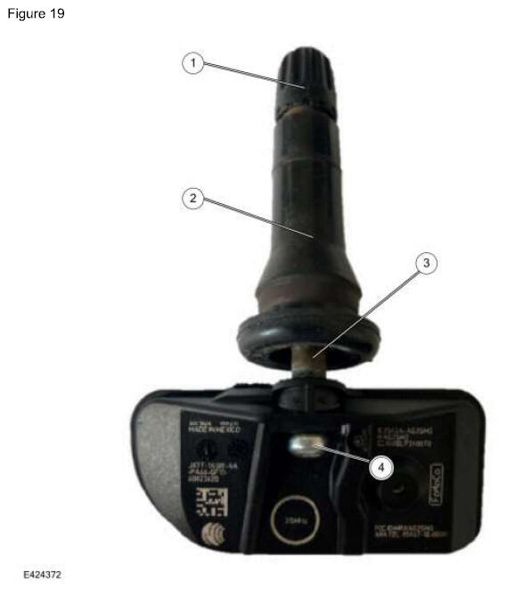G16936534