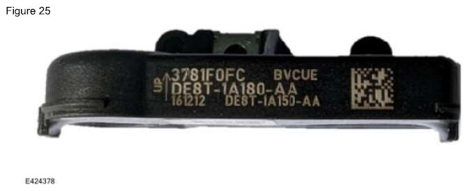 G16936540