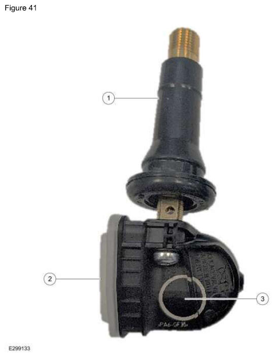 G16936555