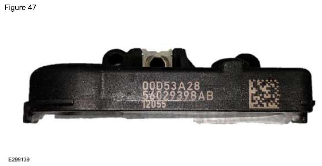 G16936561
