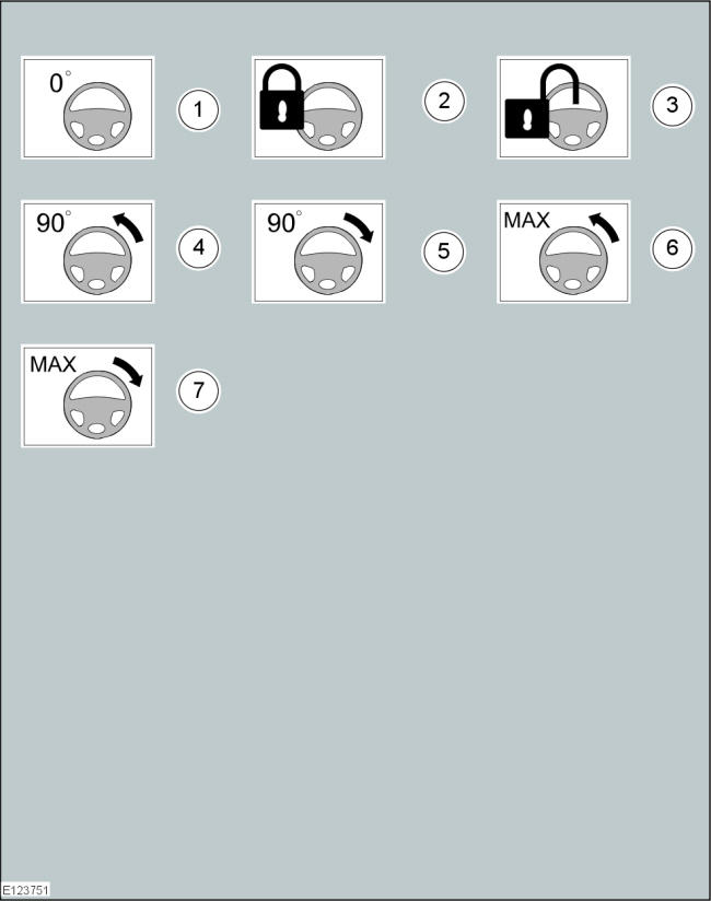GFD33538
