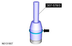 GFD35956
