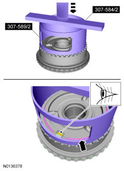 GFD35979