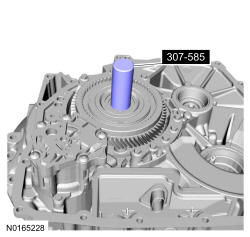 GFD36204