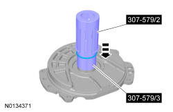 GFD36494