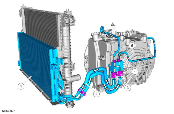 GFD36536