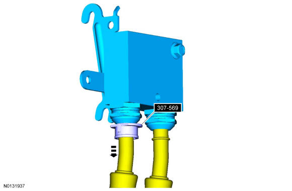 GFD36545