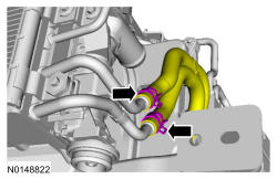 GFD36548