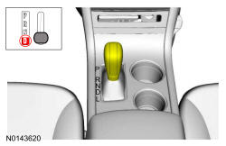 GFD36590