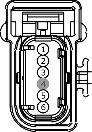 GFDW13897