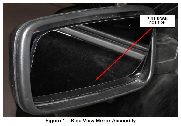 G13372771